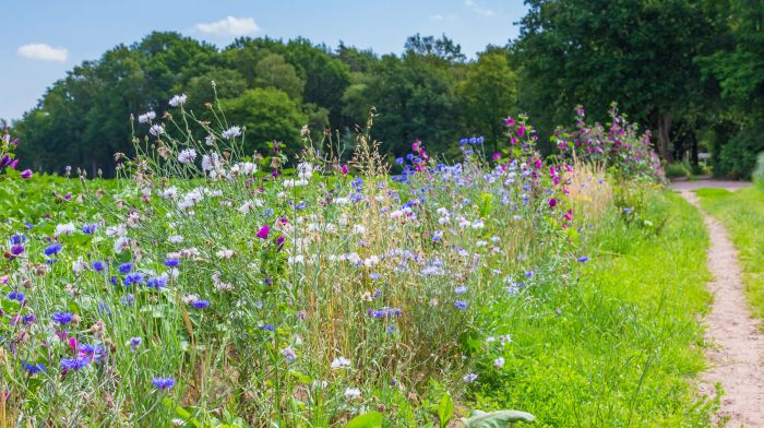 Changes to Green Cert and levy on ag exports proposed in biodiversity plan Image