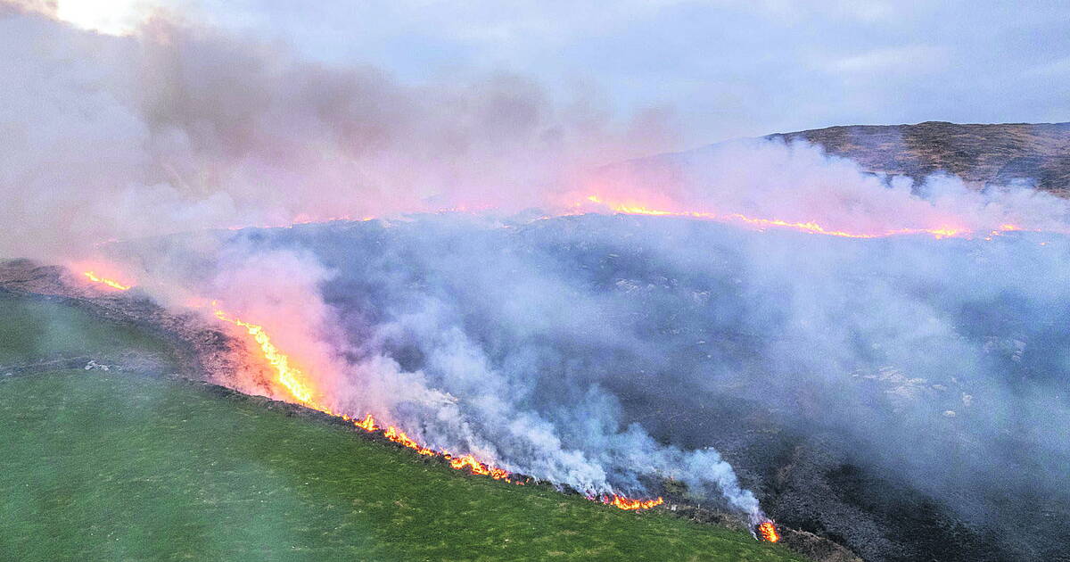 Council's u-turn on gorse fire bill after Star's reports - Vimarsana News