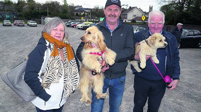 At the vintage club run in Bandon GAA grounds were Margaret Murphy, Tim Lynch with Fiadh and Tom Hurley with Toby. 				      (Photo: Denis Boyle)