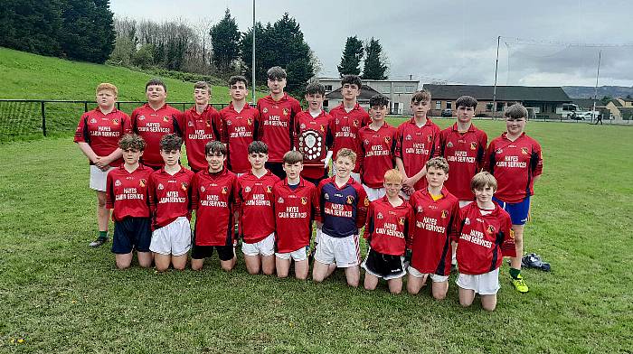 Mount St Michael, Rosscarbery ace Herlihy Shield final test Image