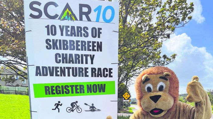 Charity race hits 10-year milestone Image