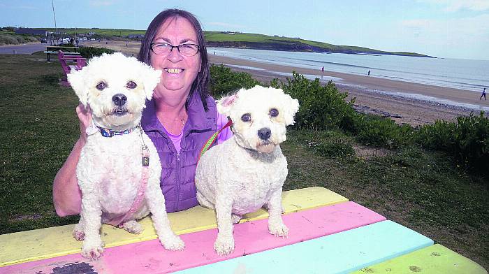 Pictured at the beach at Garretstown was Deirdre Morley from Ballincollig with her dogs Kiki and Bella. (Photo: Denis Boyle)