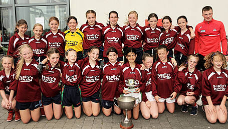 Results from West Cork Sciath na Scol football finals Image