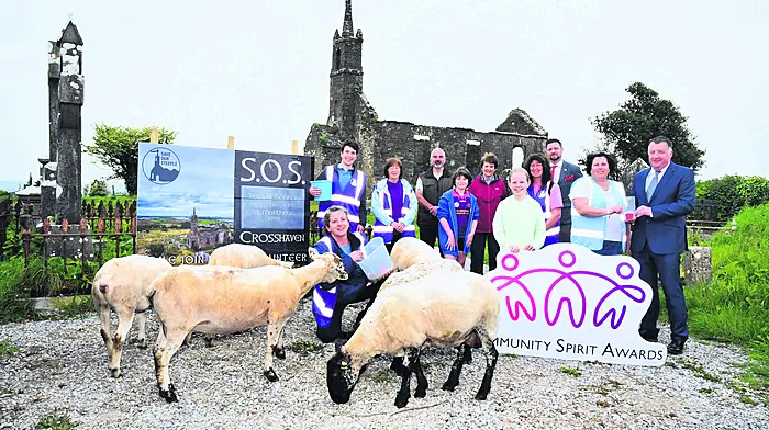 Sheep and goats help to uncover hidden graves Image