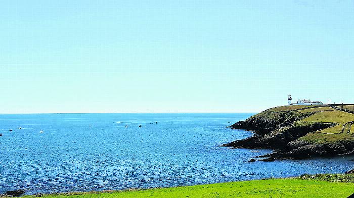 Tell me about ... Galley Head’s  charity swim Image