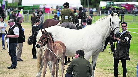 Sustainability is at the heart of this year’s Cork Summer Show Image