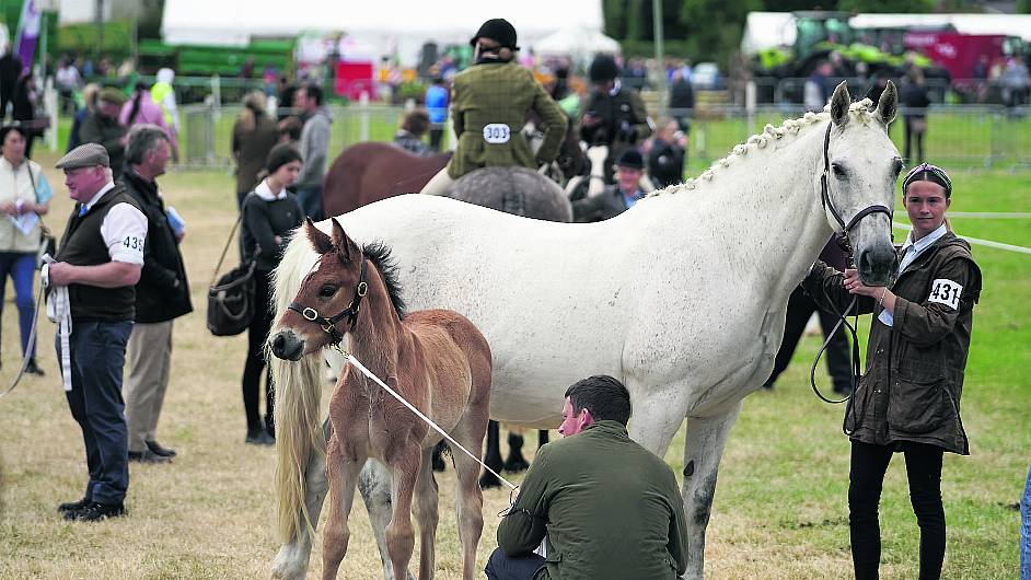 Sustainability is at the heart of this year’s Cork Summer Show Image