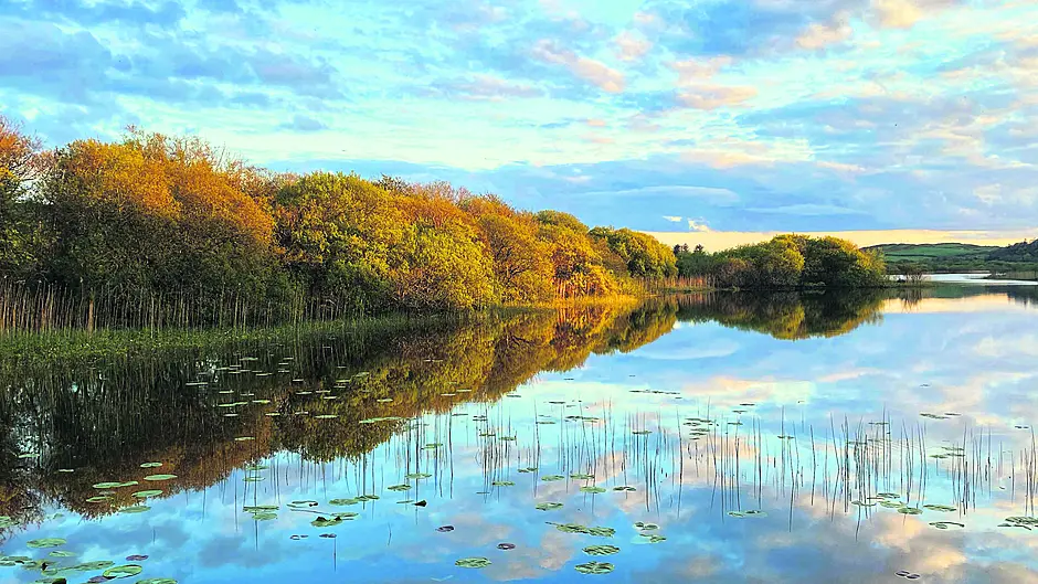 Reader’s Picture of the Week Image