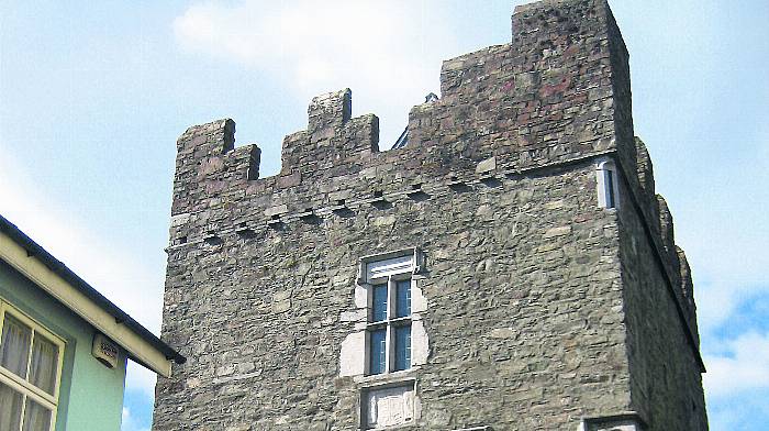 Senator wants Kinsale castle to be reopened Image