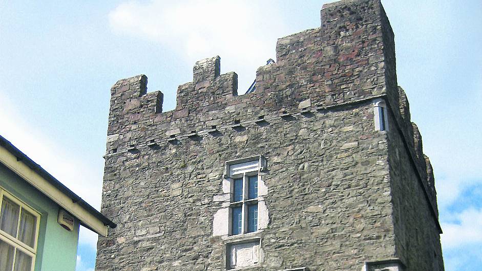 Senator wants Kinsale castle to be reopened Image