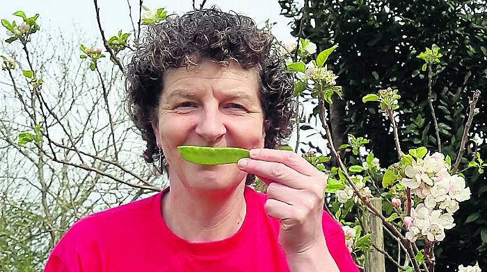 Ballydehob’s Margaret ‘hap-pea’ with progress for Malawi farmers Image