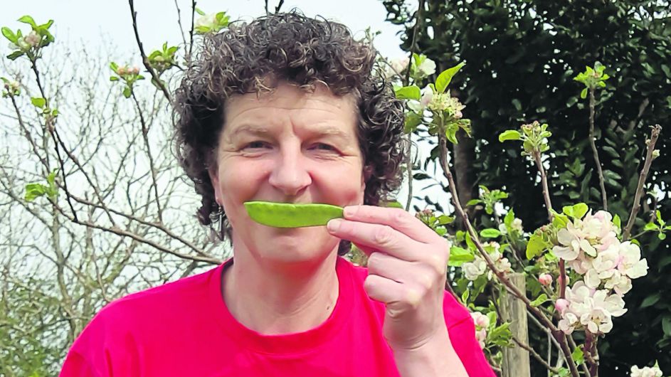 Ballydehob’s Margaret ‘hap-pea’ with progress for Malawi farmers Image