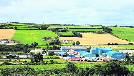 Martin is looking forward to taking helm at expanding Lisavaird Co-op Image