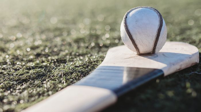 Kilmichael and Grenagh advance  to Muskerry hurling semi-finals Image