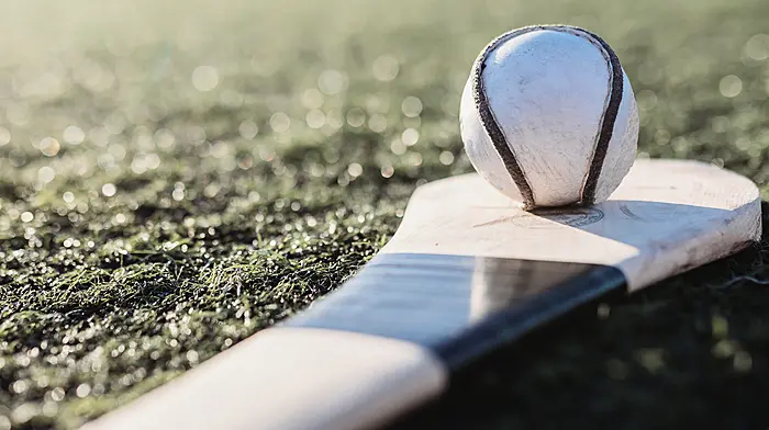 Conall Cullinane winner keeps Ballinascarthy hurlers in the Division 6 promotion battle Image