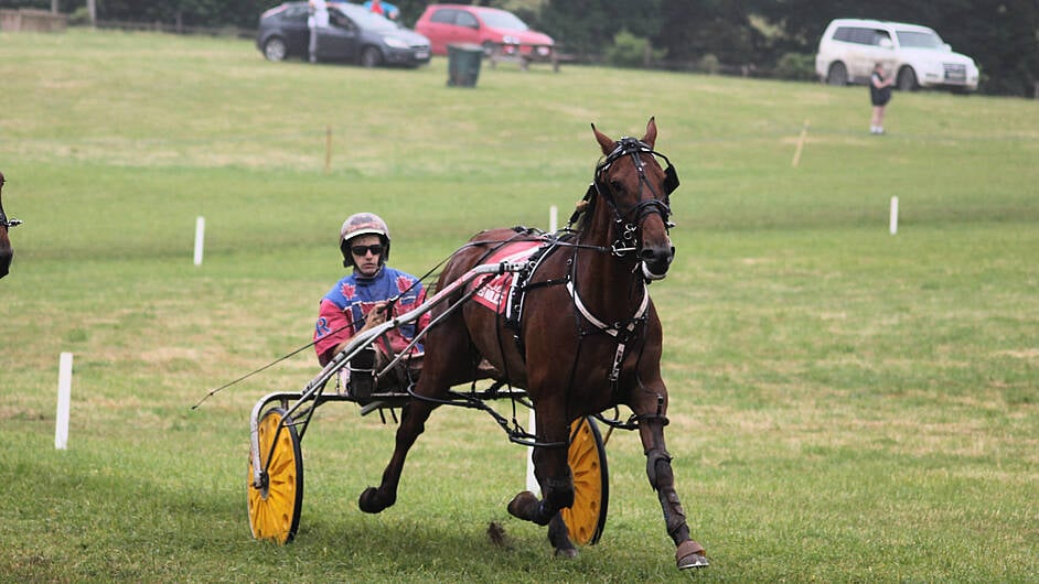 Double delight for local trio at Lyre races Image