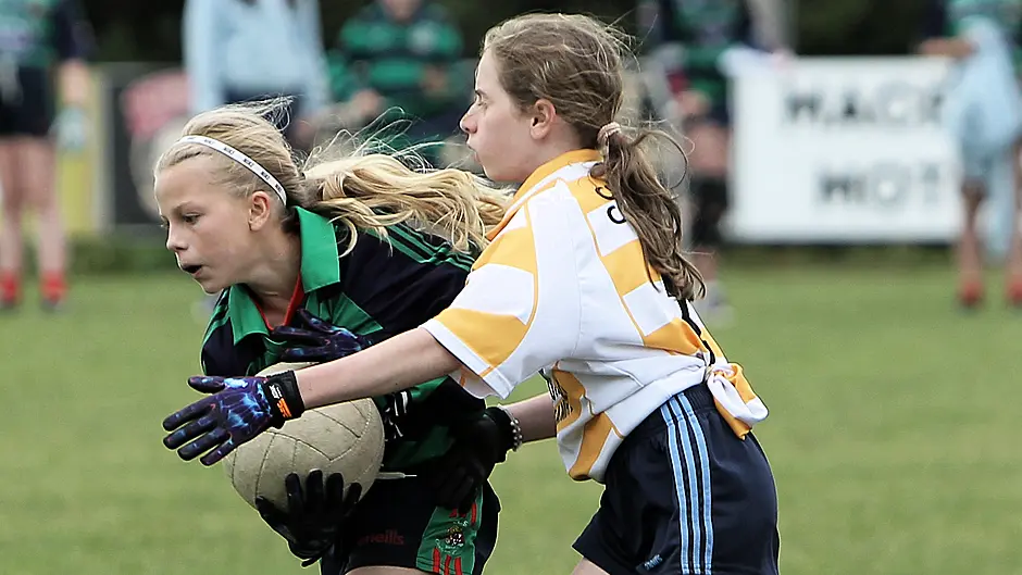 CARBERY GAA NEWS: Sciath na Scol a huge success Image