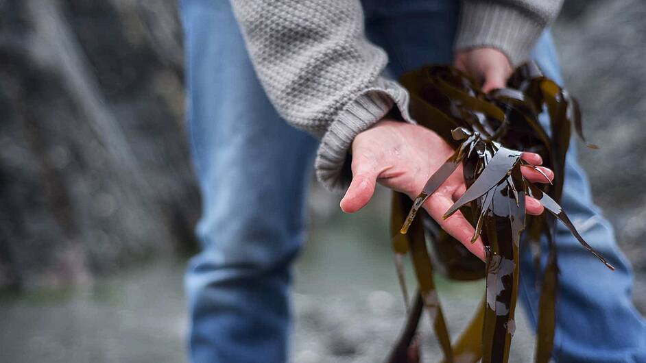 Locals concerned at harvesting of seaweed in special conservation area Image