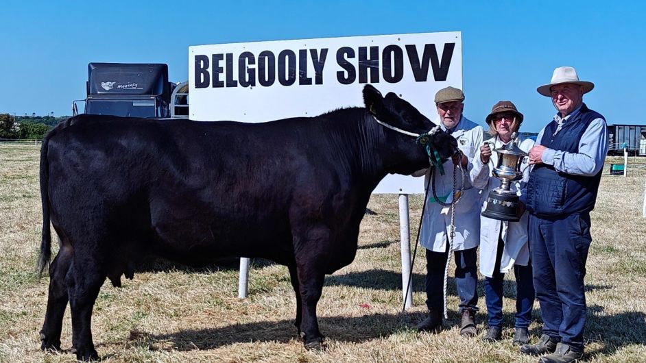 Results from successful Belgooly Show Image
