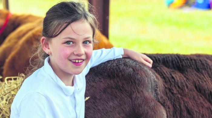 Resting at Clonakilty Show, with one of her calves was Ella O'Donovan (8) from Dunmanway. (Photo: Andy Gibson)