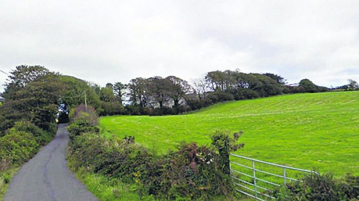 IDA ‘washed its hands’ of West Cork Image