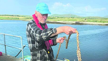 Reward offered after sabotage of seaweed harvest Image