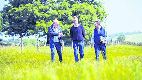 IFA supports call for new specialist Garda unit to investigate farm crime Image