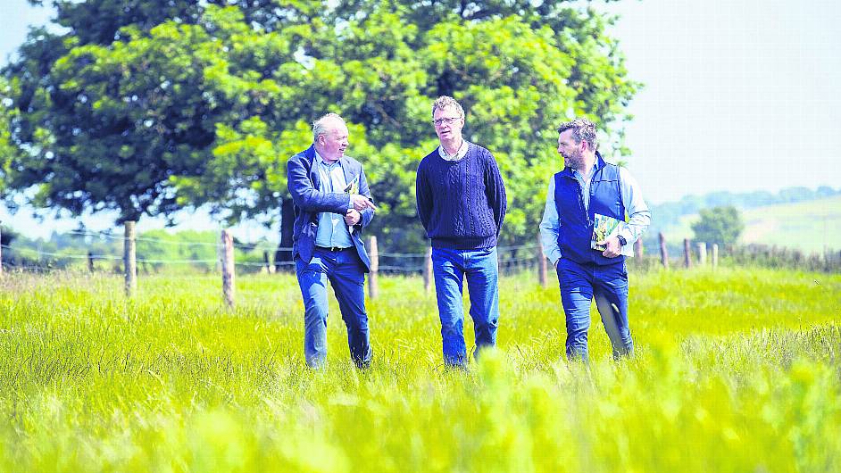 IFA supports call for new specialist Garda unit to investigate farm crime Image