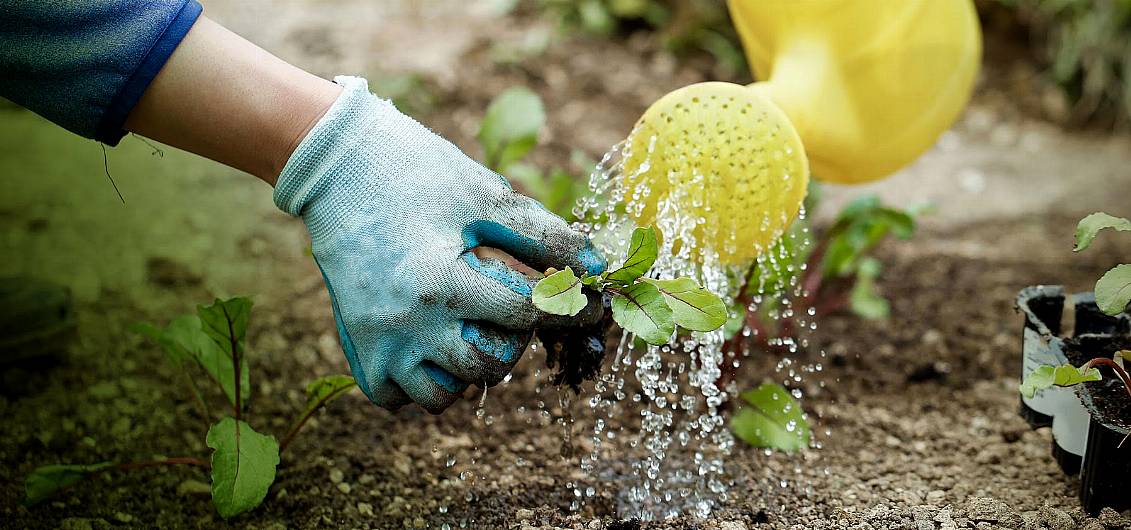 Night-time water restrictions to remain in Clonakilty until further notice Image