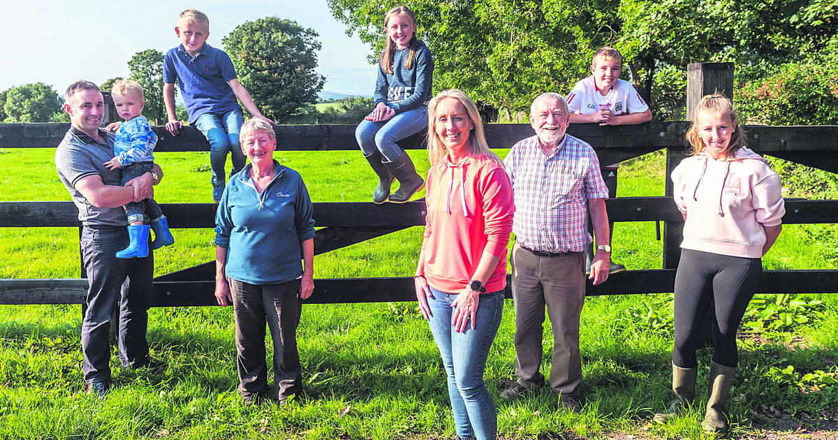 Seeking entries for West Cork's 'best farm family' award - Vimarsana News