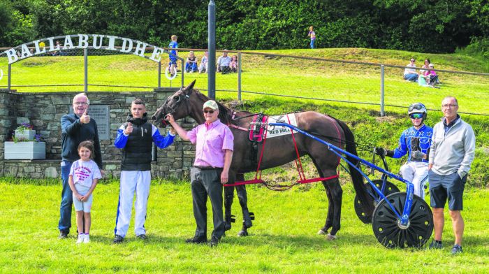 ‘Supreme Sunshine’, driven by Oisin Quill, a winner at the recent Dunmanway Harness racing.    (Photo: Andy Gibson)