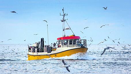 Fine Gael Cllr says Taoiseach is ‘committed’ to fishing industry  Image