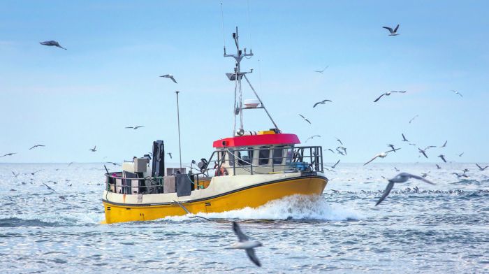 Marine heatwaves could hit the Irish fishing industry, says oceanographer Image