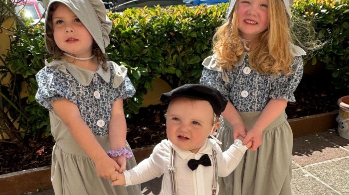 Georgina McCarthy's twin daughters Harper and Zara dressed up for fair day with their brother Levi.