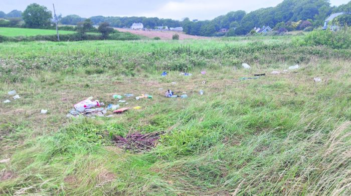 Green area strewn with rubbish after teenagers party on strand Image