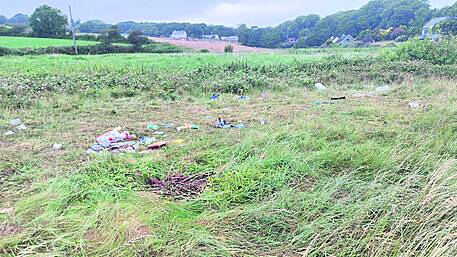 Green area strewn with rubbish after teenagers party on strand Image