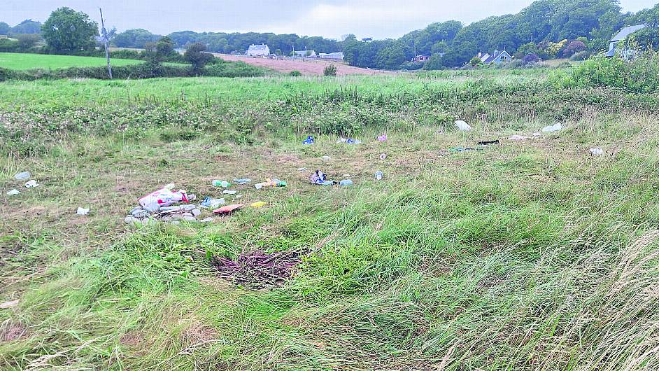 Green area strewn with rubbish after teenagers party on strand Image