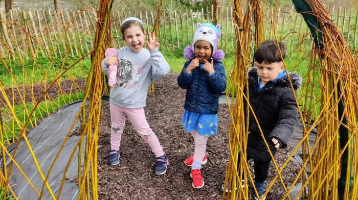 Clonakilty sensory garden aims to promote integration Image