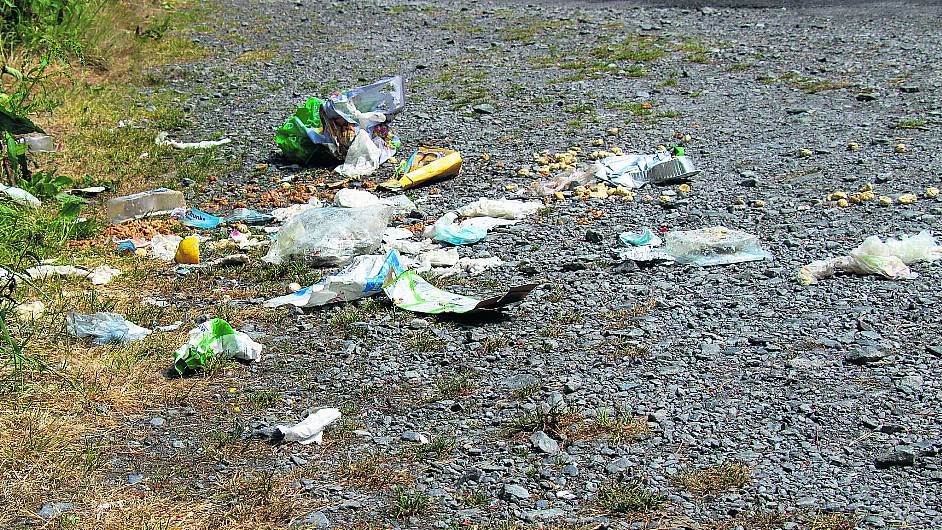 Cllr is fed up seeing dumping ‘around our beautiful county’ Image