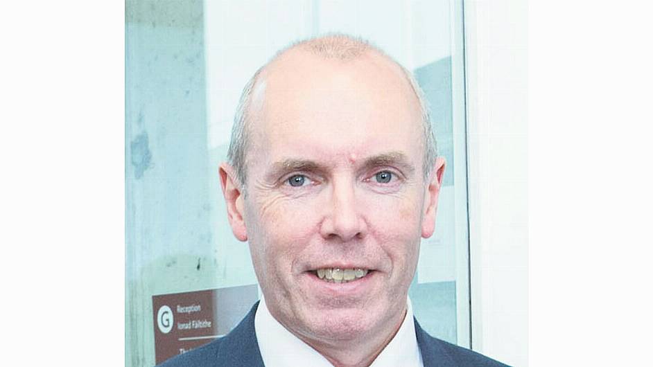 BREAKING: Cork Council chief to leave for greyhound body Image