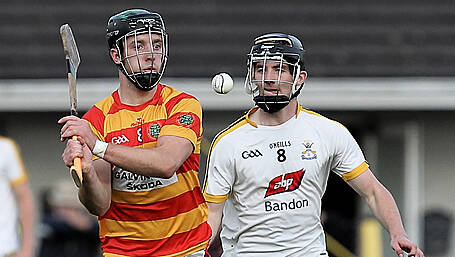 Newcestown crowned Carbery U21A hurling champions Image