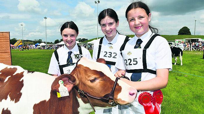 Colour and carnival atmosphere ensures Carbery Show best in class Image