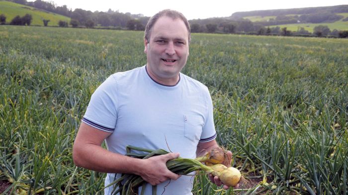 Growing appeal: Getting under the skin of West Cork’s onion business Image