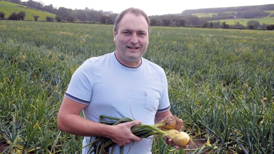 Growing appeal: Getting under the skin of West Cork’s onion business Image