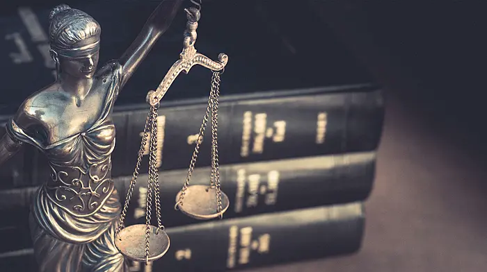 Judge orders charity work over ‘excessive love bites’ Image