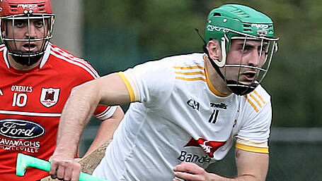 Barry looks for bounce in Bandon Image