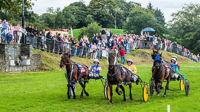 O’Reilly brothers share the limelight at Ballabuidhe Harness Racing Festival Image