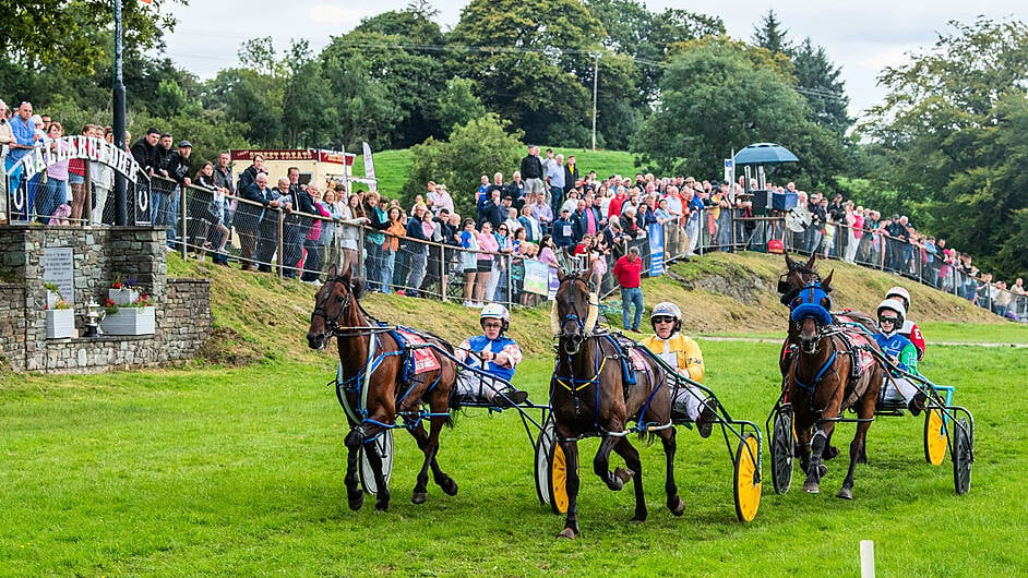 O’Reilly brothers share the limelight at Ballabuidhe Harness Racing Festival Image