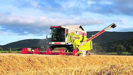 FARM CLASSICS: Dominator was in a Class of its own Image