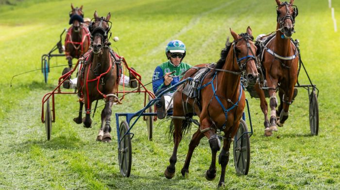 Lots of West Cork success in Red John festival Image